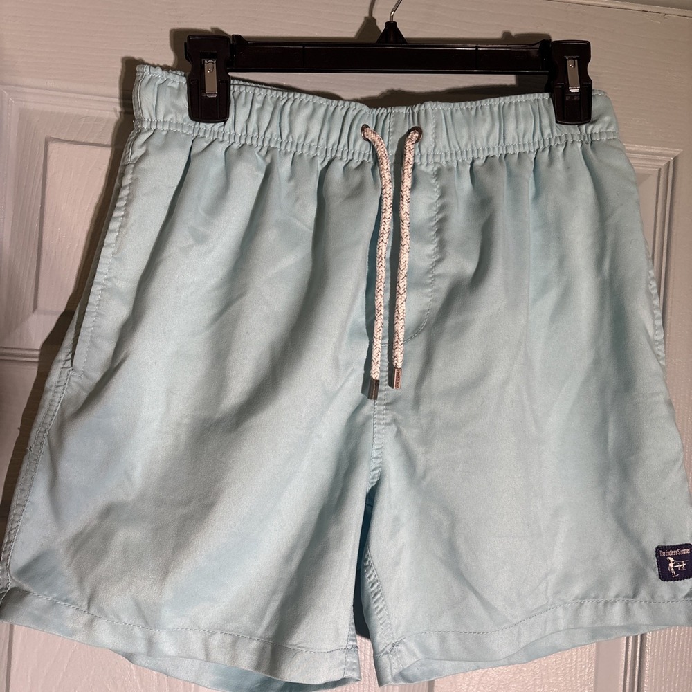 The Endless Summer Mens‎ SmallShorts Swim Light Blue Lined